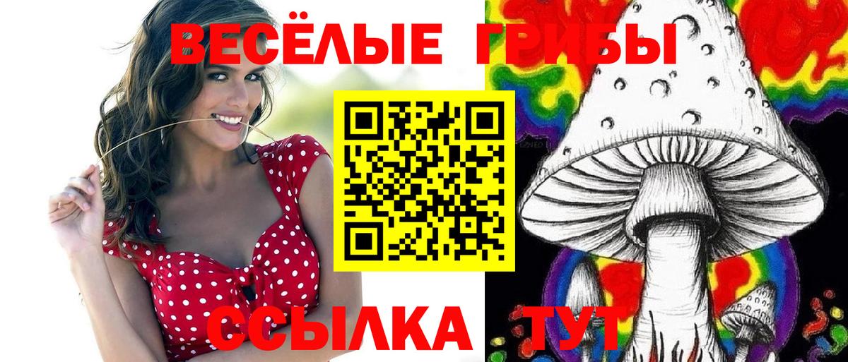Великий Устюг  Галлюциногенные грибы Psilocybine cubensis  Вход с VPN 